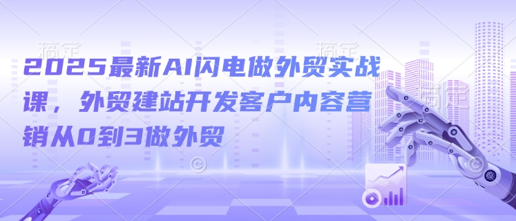 2025最新AI闪电做外贸实战课，外贸建站开发客户内容营销从0到3做外贸-摸金项目网