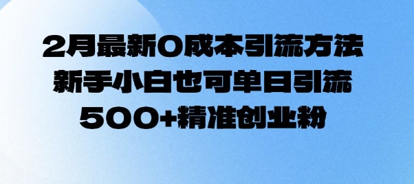 2月最新0成本引流方法，新手小白也可单日引流500+精准创业粉-摸金项目网