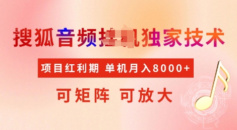全网首发搜狐音频挂JI独家技术，项目红利期，可矩阵可放大，稳定月入8k【揭秘】-摸金项目网