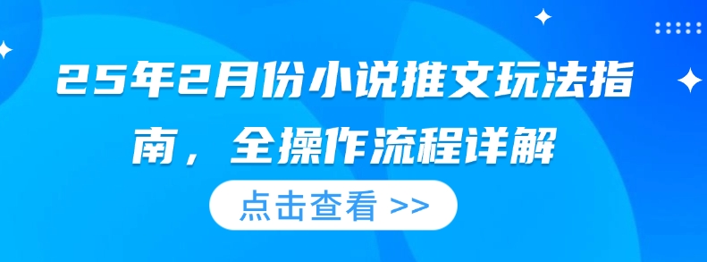 25年2月份小说推文玩法指南，全操作流程详解-摸金项目网