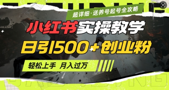 2月小红书最新日引500+创业粉实操教学【超详细】小白轻松上手，月入1W+，附小红书养号起号SOP-摸金项目网