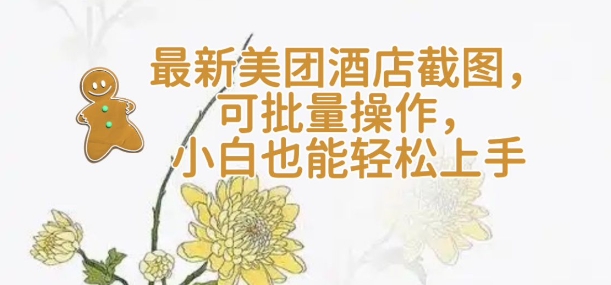 【轻云】最新美团酒店截图，可批量操作，小白也能轻松上手-摸金项目网