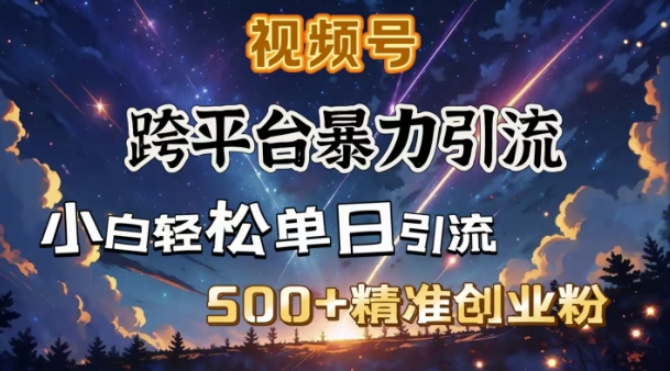 跨平台暴力引流，私域完美闭环，日引500+精准创业粉-摸金项目网