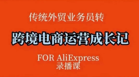 跨境电商速卖通运营课，​运营方法论+后台实操，逻辑清晰-摸金项目网
