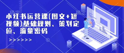 小红书运营课(图文+短视频)基础规则、策划定位、流量密码-摸金项目网