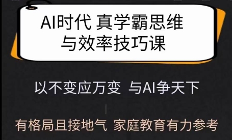 Ai时代真学霸思维与学习方法课，有格局且接地气，家庭教育有力参考-摸金项目网