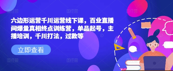 六边形运营千川运营线下课，百业直播间爆量真相终点训练营，单品起号，主播培训，千川打法，过款等-摸金项目网