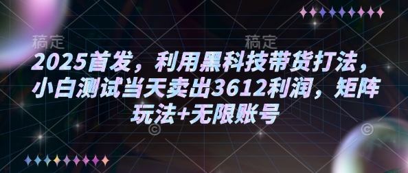 2025首发，利用黑科技带货打法，小白测试当天卖出3612利润，矩阵玩法+无限账号【揭秘】-摸金项目网