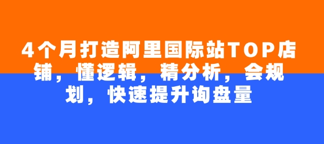4个月打造阿里国际站TOP店铺，懂逻辑，精分析，会规划，快速提升询盘量-摸金项目网