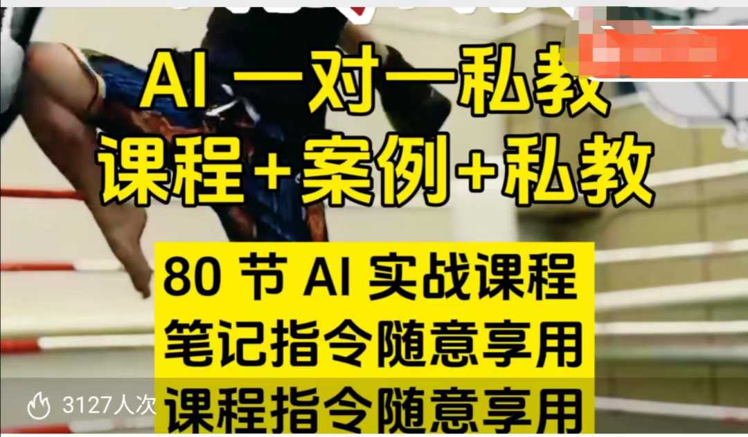 AI指令实战课，课程+案例，80节AI实战课程，笔记指令随意享用，课程指令随意享用-摸金项目网