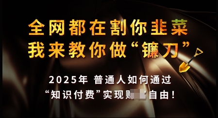 知识付费如何做到月入过W+，2025我来教你做“镰刀”【揭秘】-摸金项目网