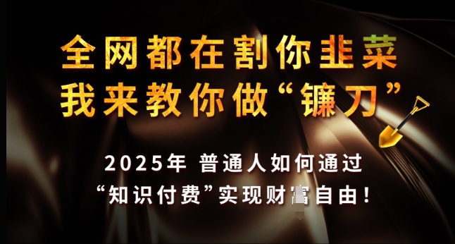 全网都在割你韭菜，我来教你做镰刀，2025年普通人如何通过 知识付费 实现财F自由【揭秘】-摸金项目网