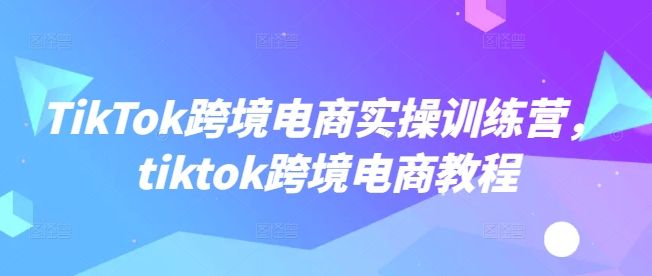 TikTok跨境电商实操训练营，tiktok跨境电商教程-摸金项目网