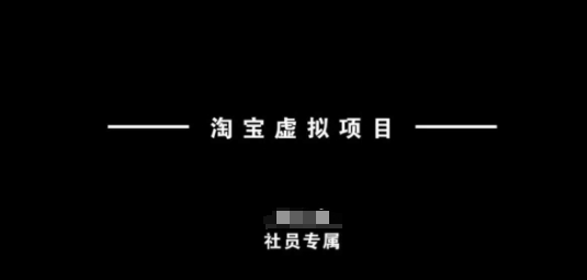 淘宝虚拟项目，从理论到实操，新手也能快速上手-摸金项目网