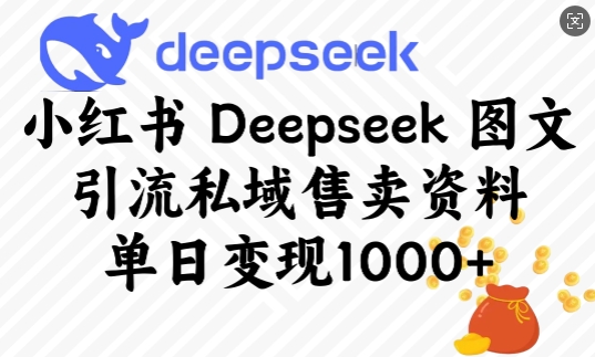 小红书Deepseek图文引流私域售卖资料，单日变现多张-摸金项目网