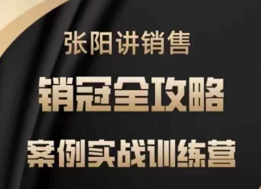 张阳讲销售实战训练营，​案例实战训练，销冠全攻略-摸金项目网