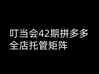 叮当会拼多多打爆班原创高阶技术第42期，拼多多全店托管矩阵-摸金项目网