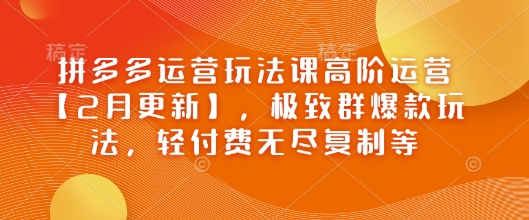 拼多多运营玩法课高阶运营【2月更新】，极致群爆款玩法，轻付费无尽复制等-摸金项目网