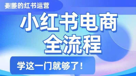 小红书电商全流程，精简易懂，从入门到精通，学这一门就够了-摸金项目网
