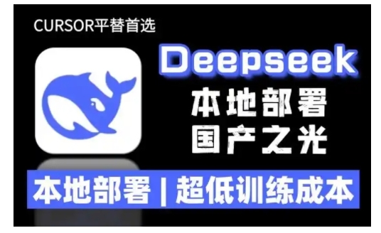 2025年deepseek R1 大型模型本地安装部署(文件+教程)本地部署，超低训练成本-摸金项目网