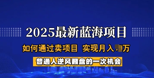 2025蓝海项目，普通人如何通过卖项目，实现月入过W，全过程【揭秘】-摸金项目网