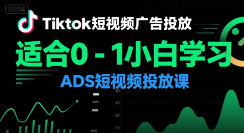 Tiktok短视频广告投放，适合0-1小白学习ADS短视频投放课-摸金项目网