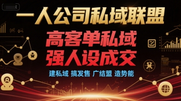 一人公司私域联盟，高客单私域，强人设成交，建私域 搞发售 广结盟 造势能-摸金项目网