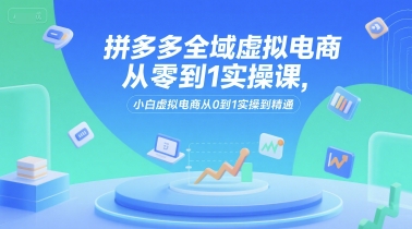 拼多多全域虚拟电商从零到1实操课，小白虚拟电商从0到1实操到精通-摸金项目网