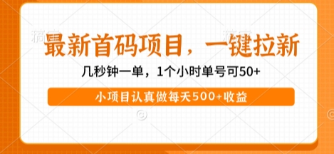 最新首码项目，操作最简单，收益高，一键拉新，1个小时单号可50+，小项目认真做每天5张+收益【揭秘】-摸金项目网