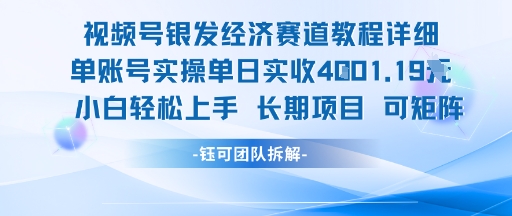 视频号银发经济赛道单账号实操单日实收1k+，小白轻松上手长期项目-摸金项目网