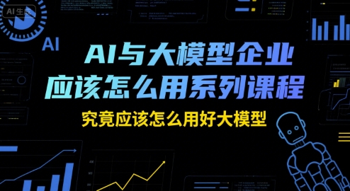 AI与大模型企业应该怎么用系列课程，究竟应该怎么用好大模型-摸金项目网
