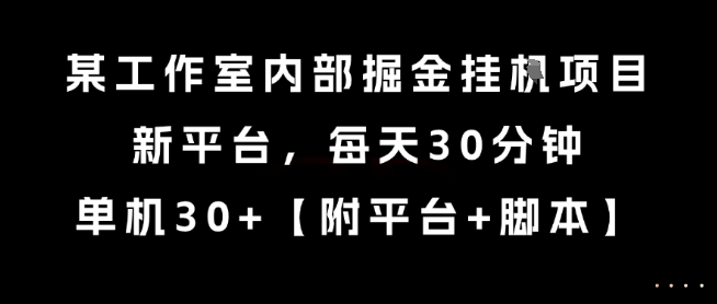 某工作室内部掘金挂G项目，新平台，每天30分钟，单机30+【揭秘】-摸金项目网