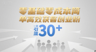 零基础零成本简单高效获客创业粉，一天引流30+-摸金项目网