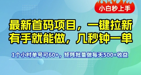 最新首码项目，一键拉新有手就能做，几秒钟一单，1个小时单号可60+，矩阵批量做每天5张【揭秘】-摸金项目网
