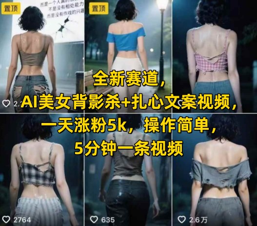 全新赛道，AI美女背影杀+扎心文案视频，一天涨粉5k，操作简单，5分钟一条视频-摸金项目网