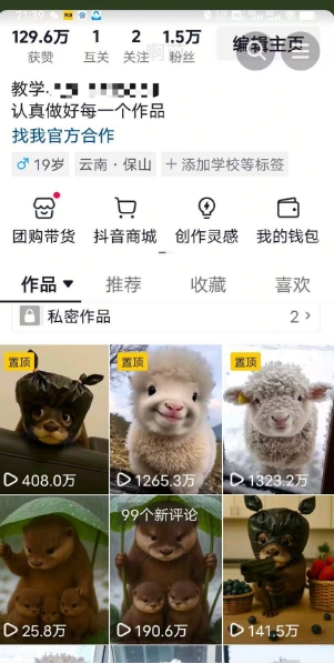 抖音65W博主AI萌宠课程，新赛道流量大，原创+二创，全套课程+提示词-摸金项目网